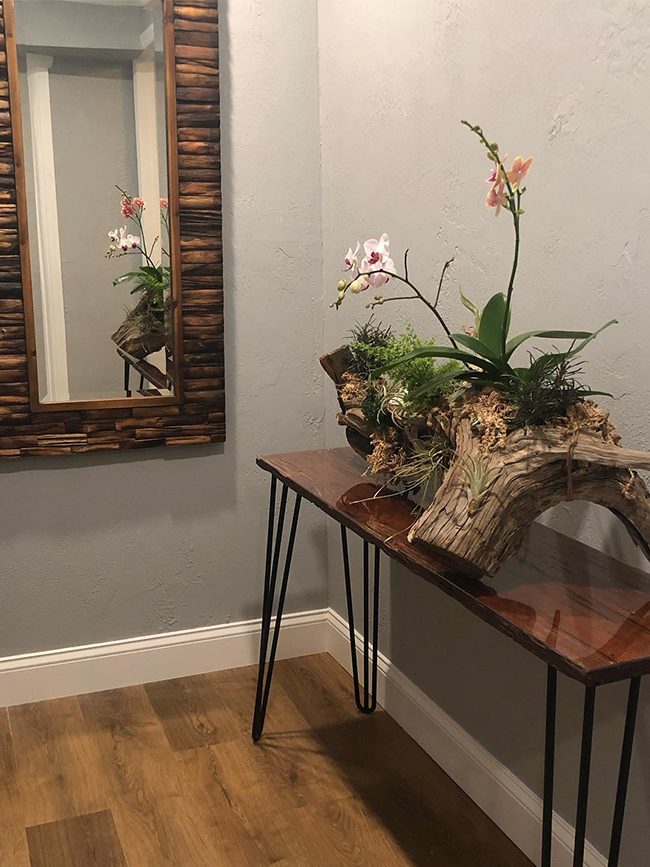 Orchids